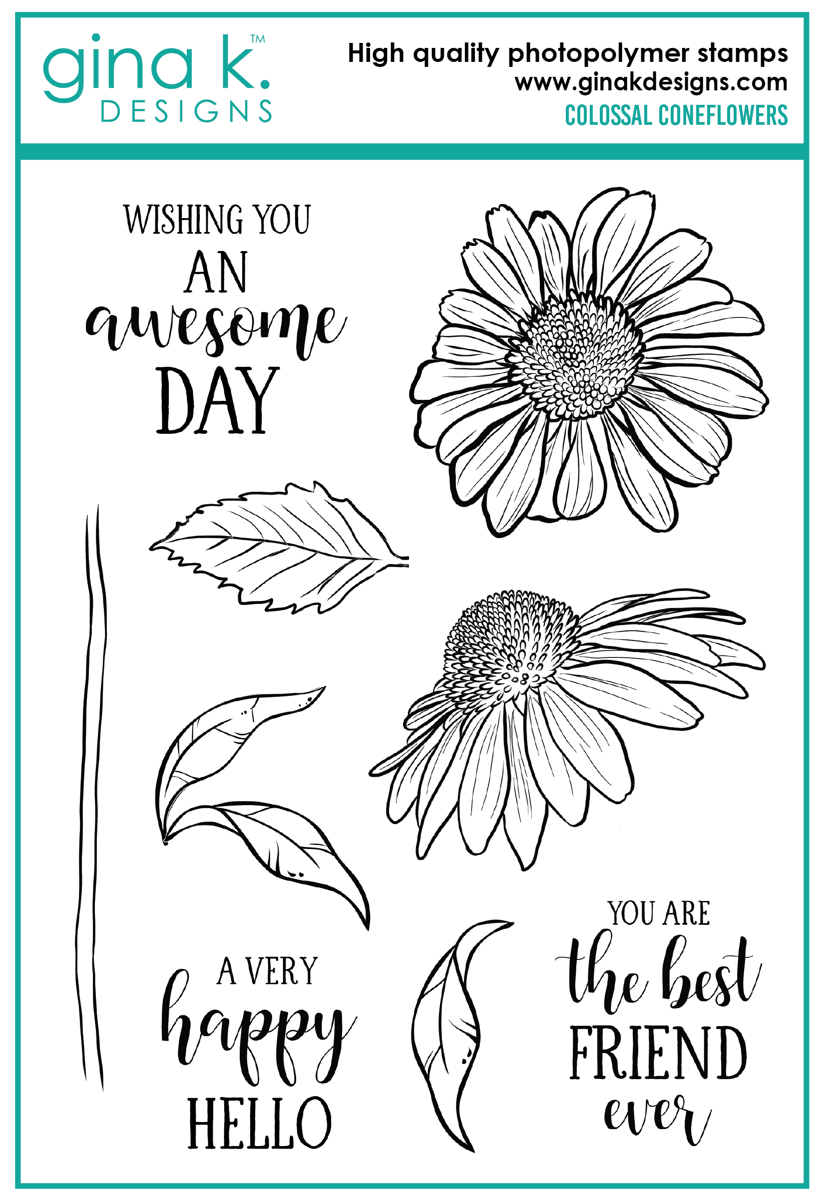 colossal-coneflowers-01