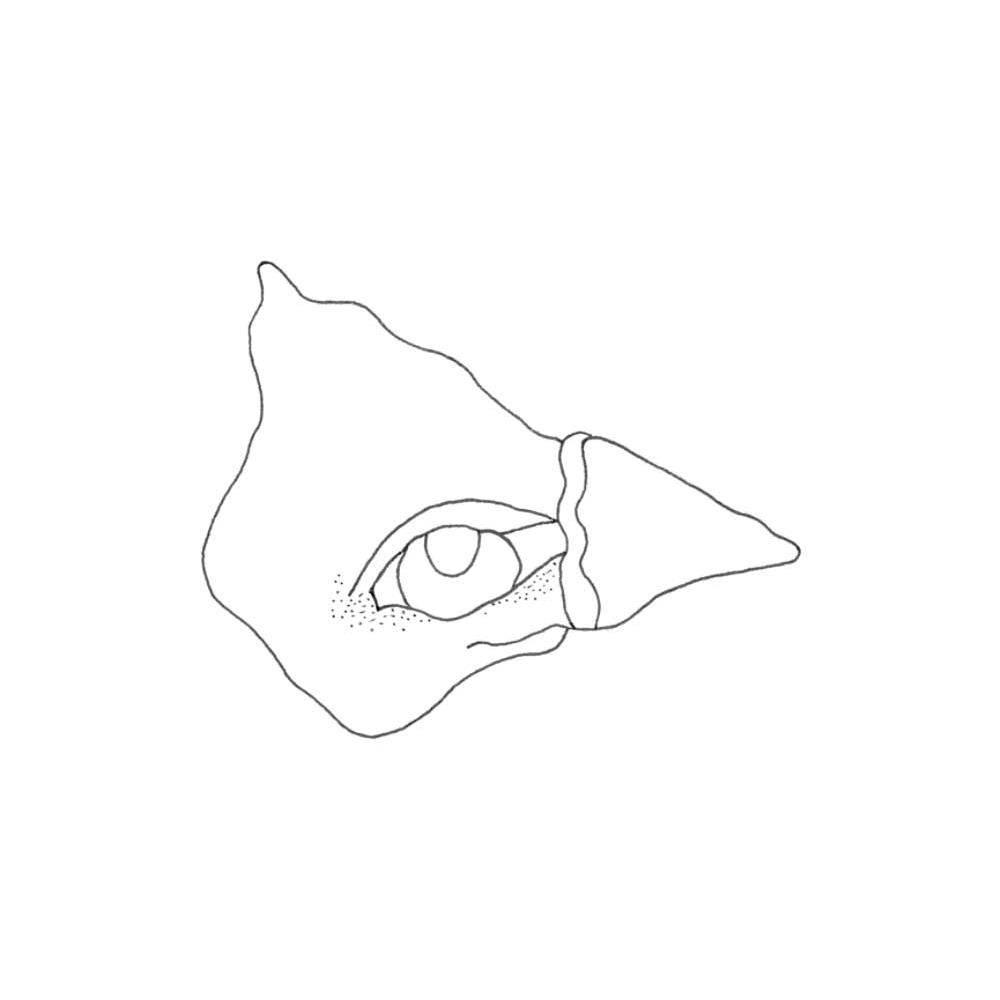 0000537943