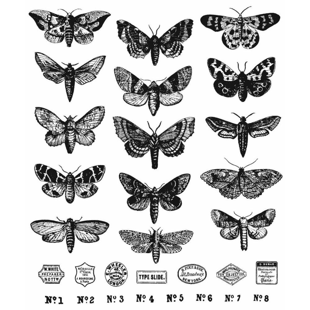 0002093332