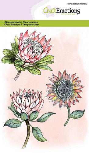 craftemotions-clearstamps-a6-protea-3-bluten-gb-06-20-316780-de-g