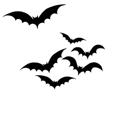 bats-web bats-web