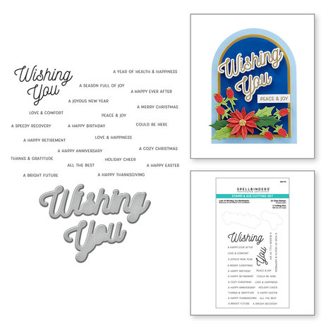 spellbinders-lots-of-wishing-you-sentiments-clear