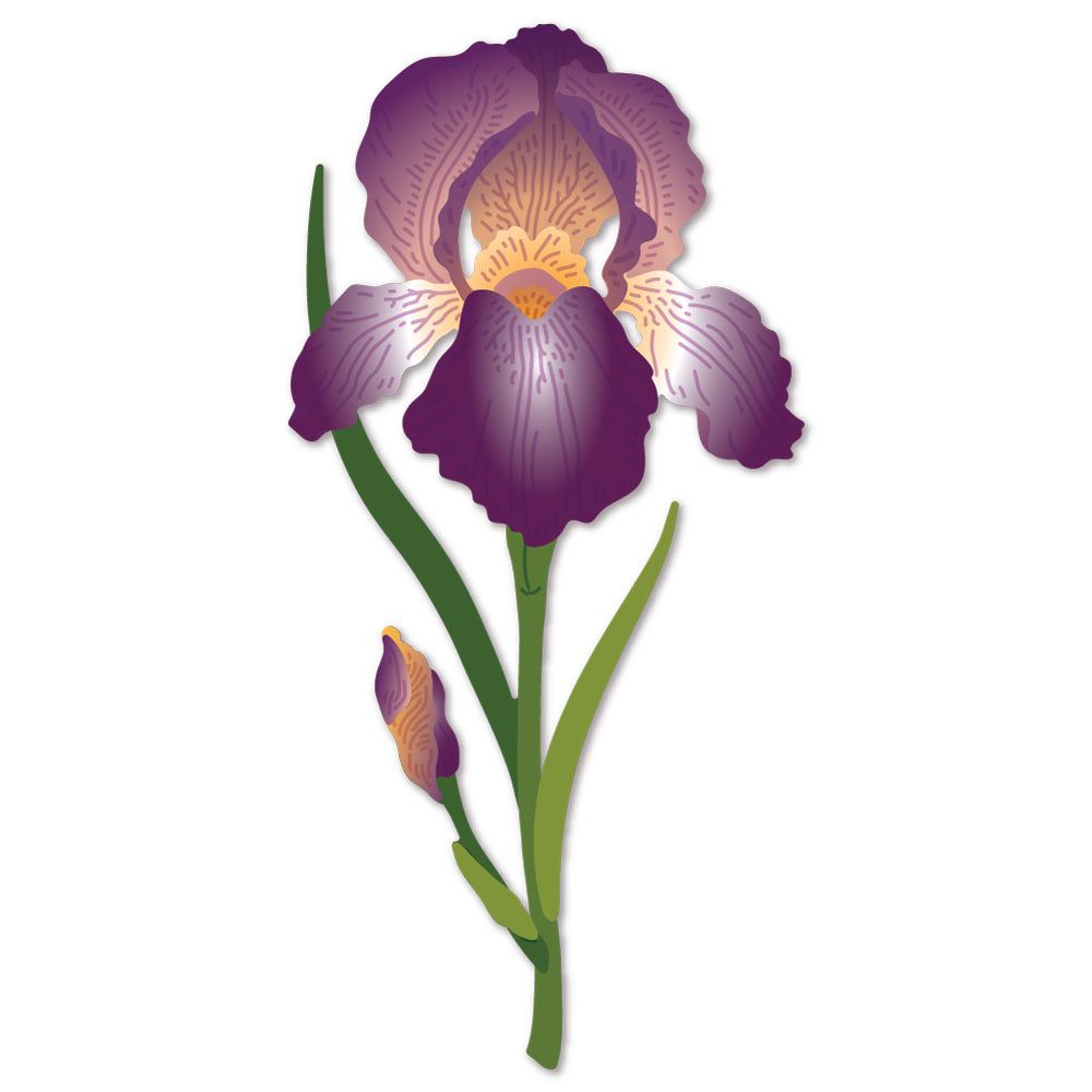 Honey Bee - Lovely Layers: Iris - Honey Cuts Honey Bee - Lovely Layers: Iris - Honey Cuts