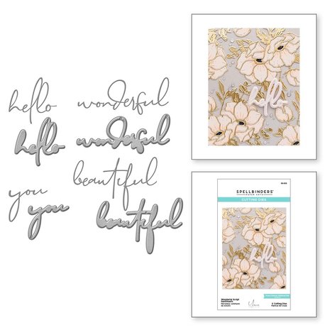 spellbinders-wonderful-script-sentiments-etched-di