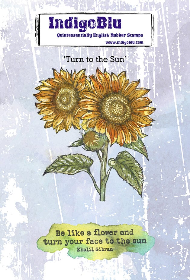IndigoBlu - Turn to The Sun A6 Red Rubber Stamp