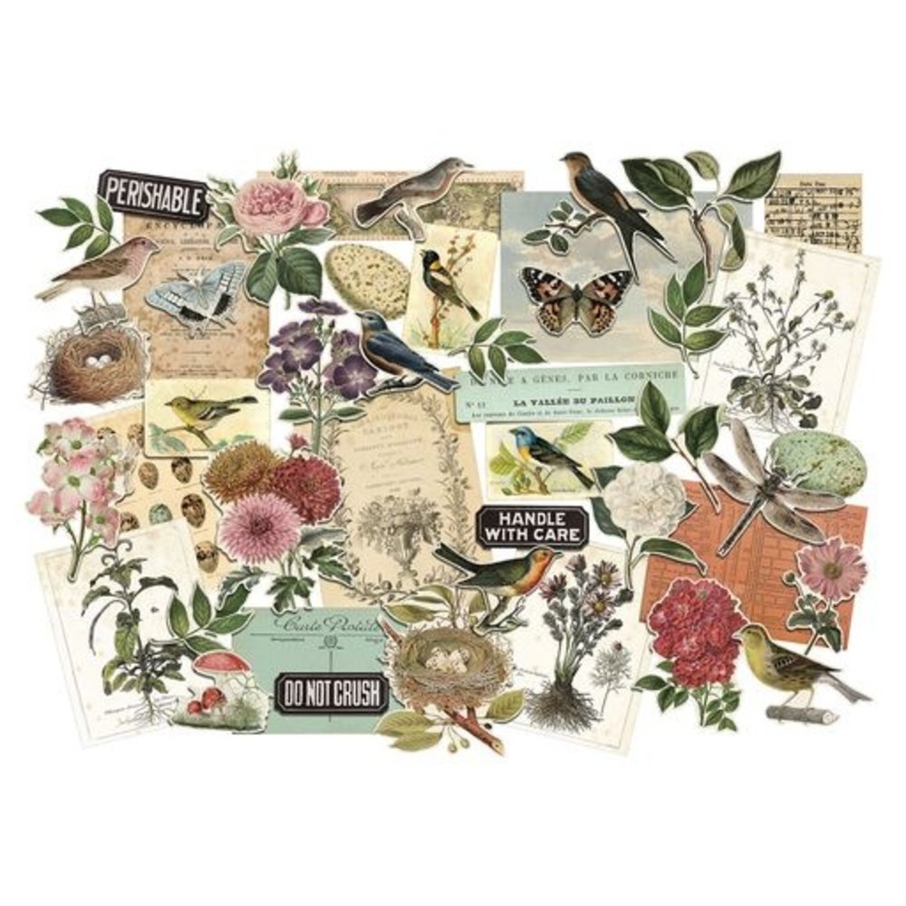 idea-ology-tim-holtz-layers-organic-th94316