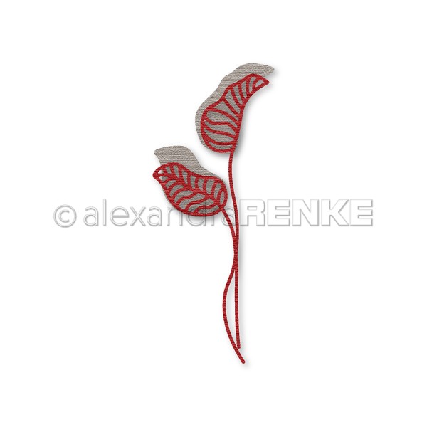 d-ar-fl0212_renke_600x600