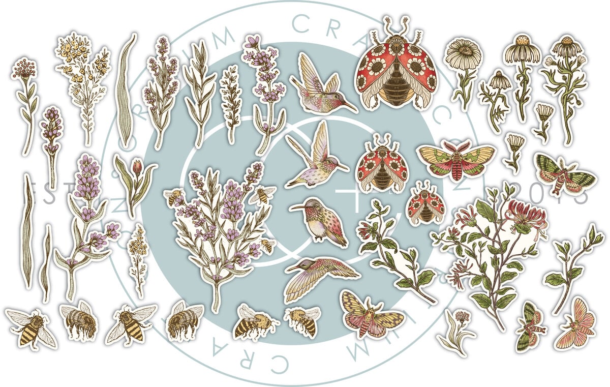 Craft Consortium - Vintage Summer Premium Ephemera Set by Olena Kovalova