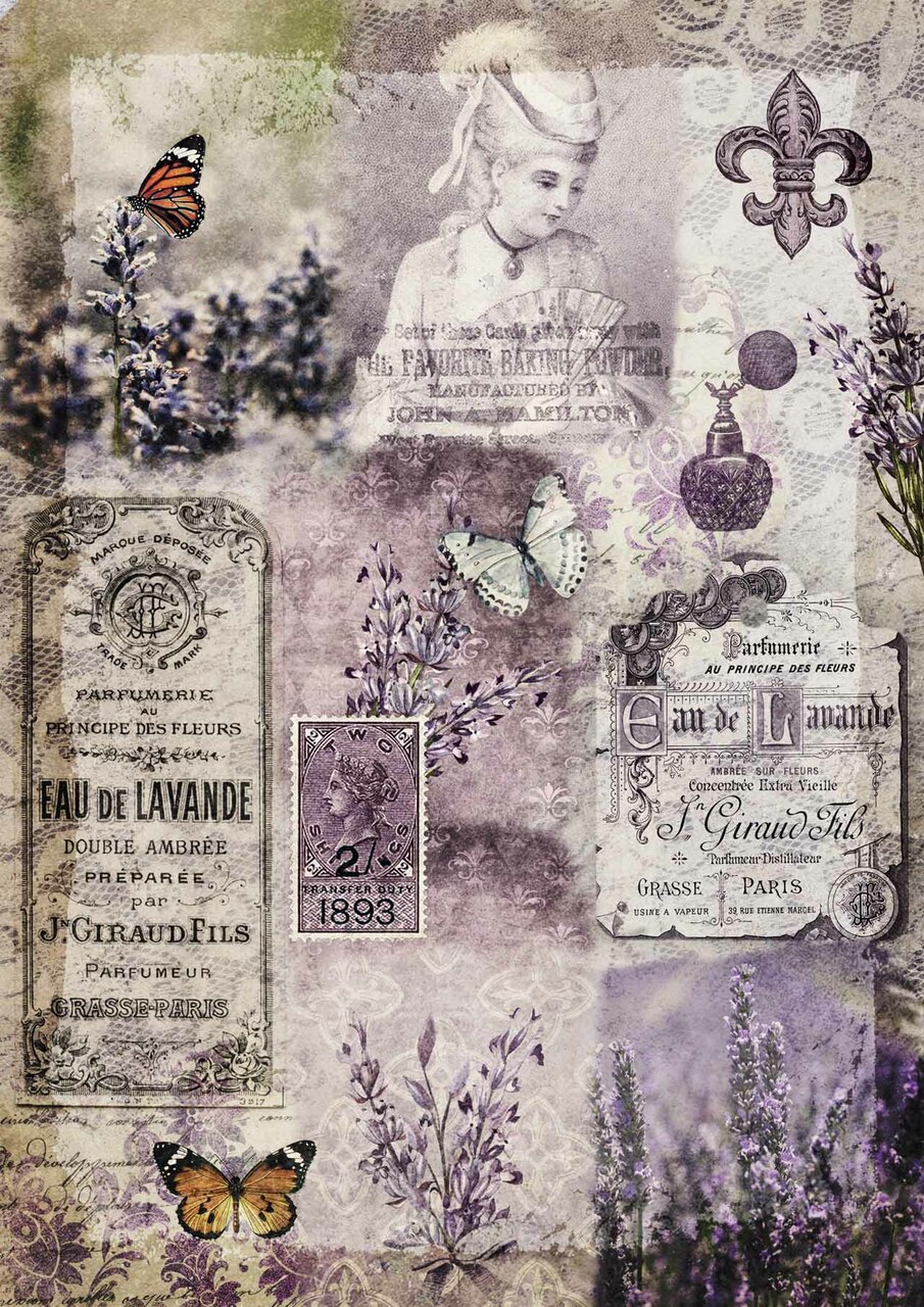 dqrp_0242_old_lace_and_lavender__35687.1646076279 dqrp_0242_old_lace_and_lavender__35687.1646076279