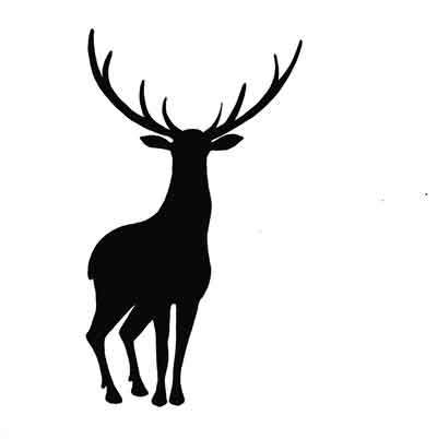 stag-large-2 stag-large-2