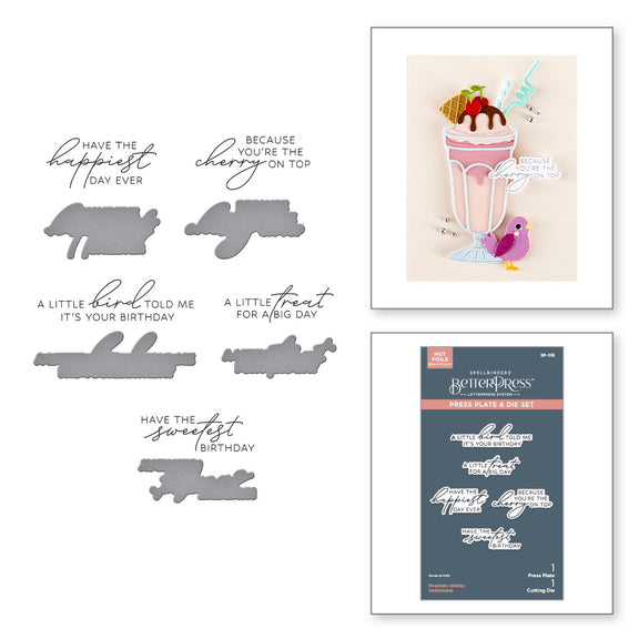 Spellbinders - Fountain Wishes Sentiments BetterPress Plate & Die Set from the Happier Hour Collection