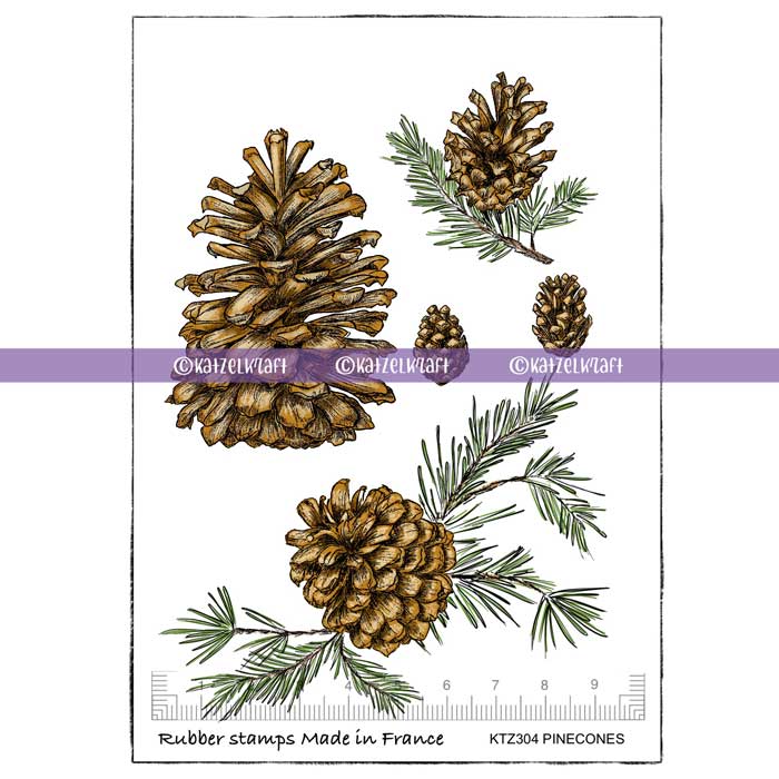 ktz304_pinecones_-1