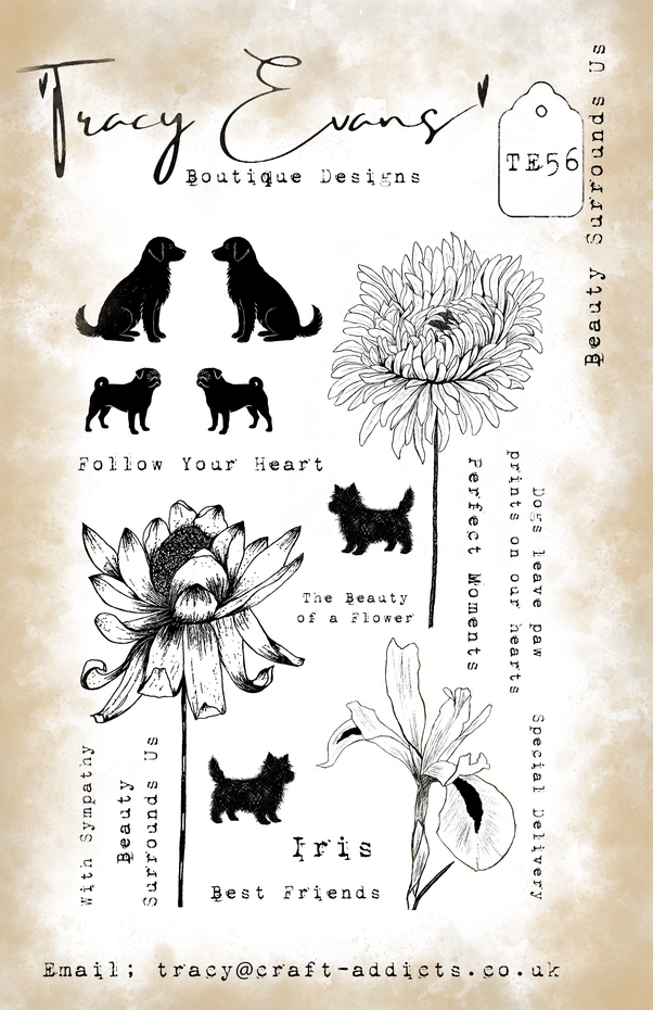 Tracy Evans - Beauty Surrounds Us A5 Stamp