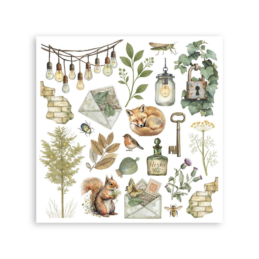 Stamperia - Assortment Rub on cm 15,5x15,5 - 6 pages Herbarium Silvae