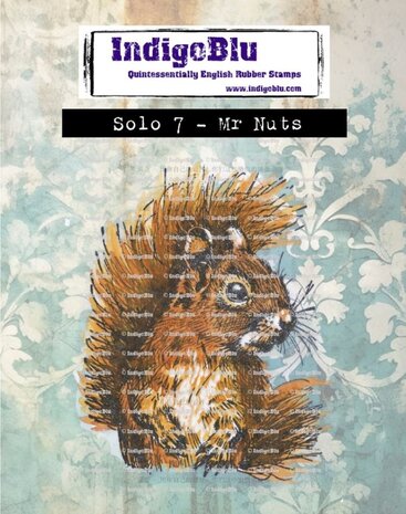 IndigoBlu - Solo 7 Mr Nuts Rubber Stamp