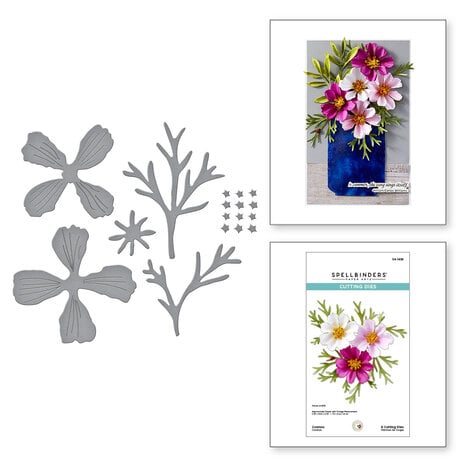 Spellbinders - Summer Solstice Garden Etched Dies Cosmos