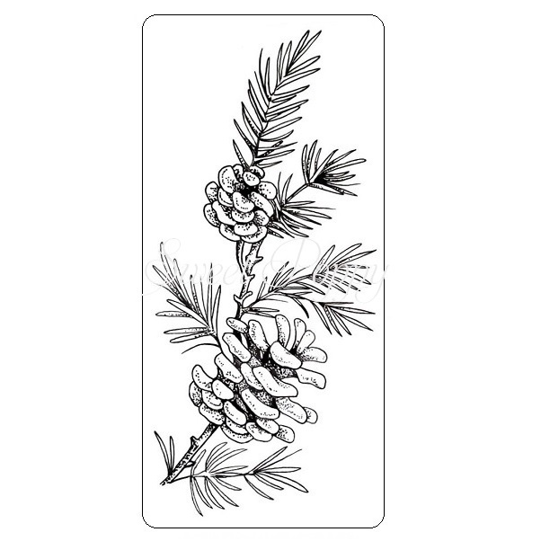 Sweet Poppy Stencil: Pinecone Sprig Stamp Sweet Poppy Stencil: Pinecone Sprig Stamp