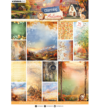 Studio Light - Background papers Charming Autumn nr.362