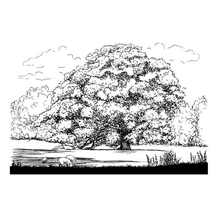 Sheena Douglass - Tree Collection - Clearstamp - Strong Oak