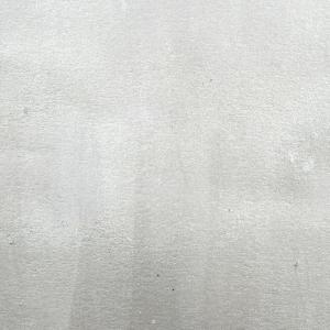 csmgsilver csmgsilver
