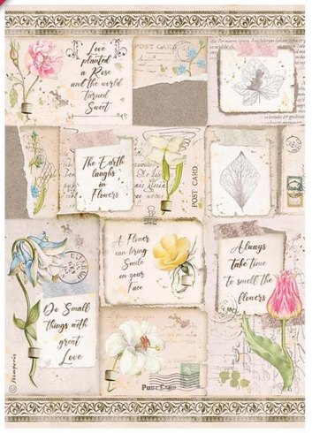 screenshot2022-02-18190909