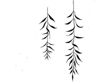 willow-leaf-2-web