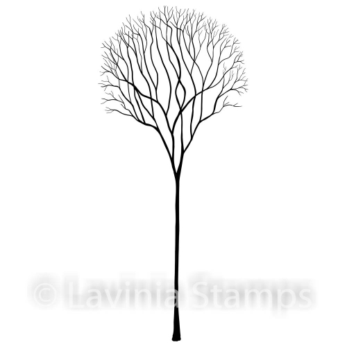 single-skeleton-tree_-500x500 single-skeleton-tree_-500x500