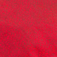 co725700_11035 co725700_11035
