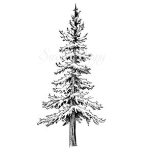 Sweet Poppy Stencil: Spruce Tree Stamp Large