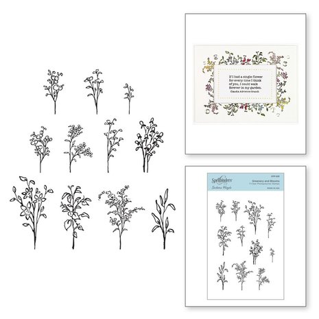 spellbinders-greenery-and-blooms-clear-stamps-stp