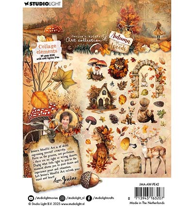 SL - Collage elements Autumn In The Woods nr. 42