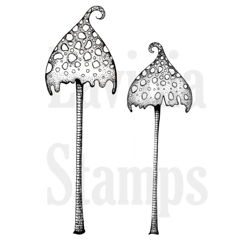 spotty-toadstool-1024x1024-500x500 spotty-toadstool-1024x1024-500x500