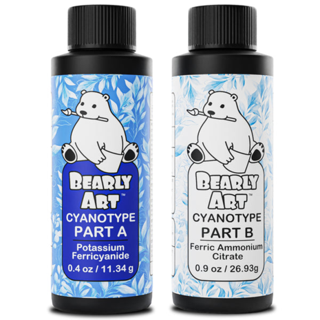 Bearly Art - Cyanotype 2 Part A and B