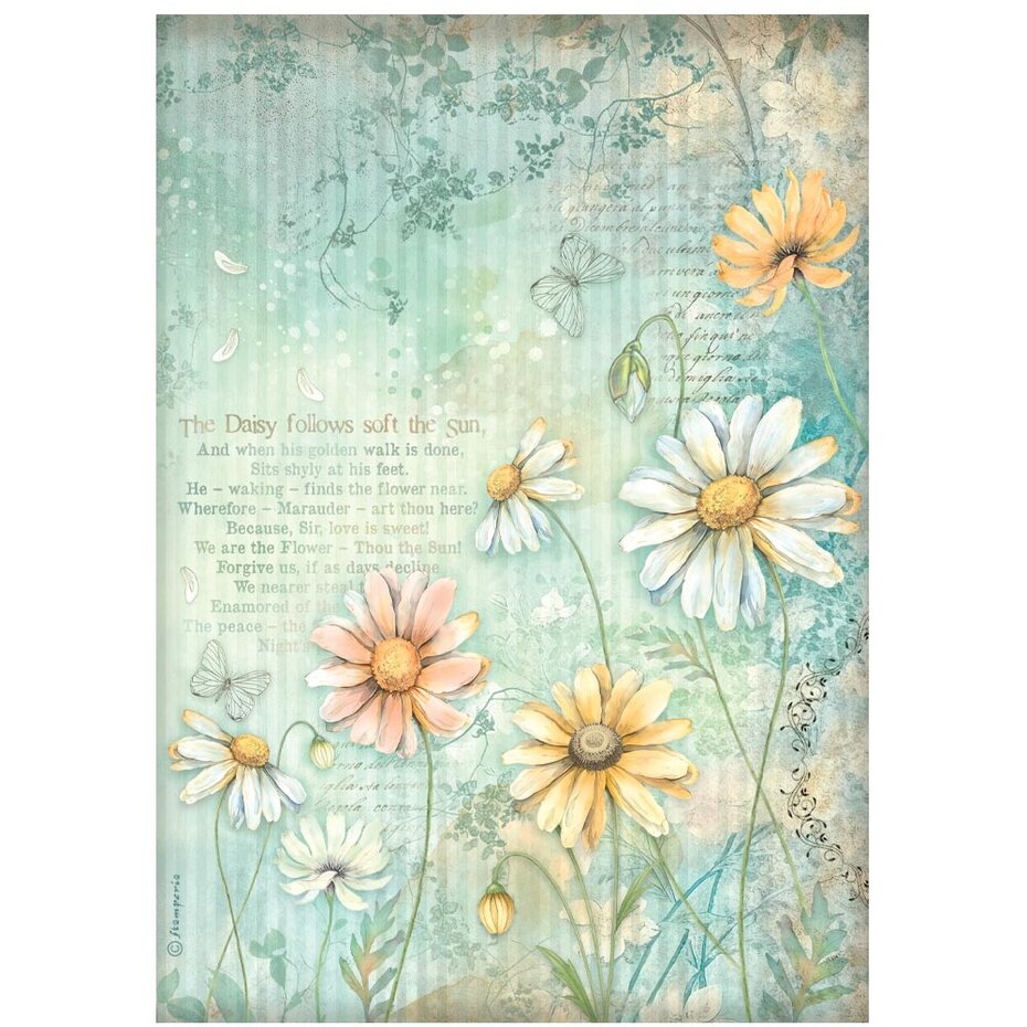 Stamperia - Daisy Art A4 Rice Paper Daisies (6pcs)