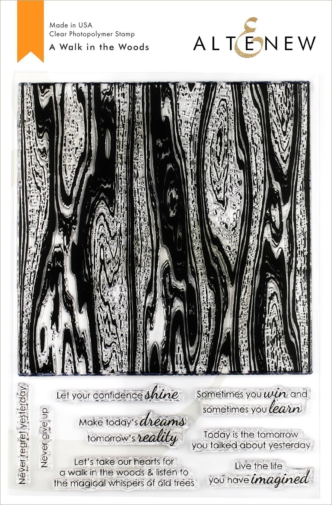 6x8_20a_20walk_20in_20the_20woods_5889c22c-a7c7-4fb6-87b9-68d0b9a414fa_2048x