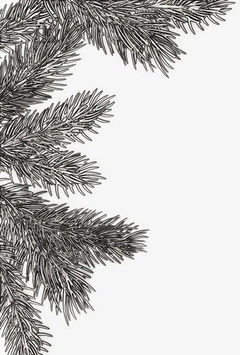 sizzix-3-d-texture-fades-embossing-folder-pine-branches-666048-326993-de-g