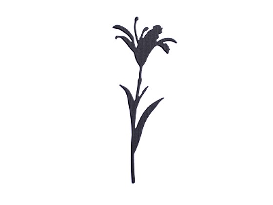 die-wildblume-ii-1