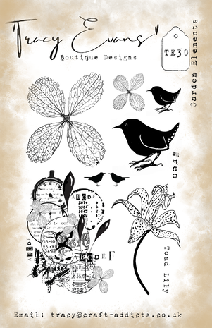 Tracy Evans -Garden Elements A5 Stamp 