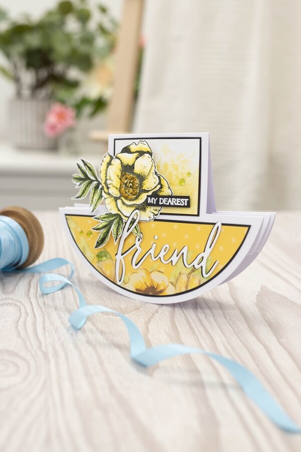 CC - Shaped Basic Cards/Envelopes - Step Rocker Card