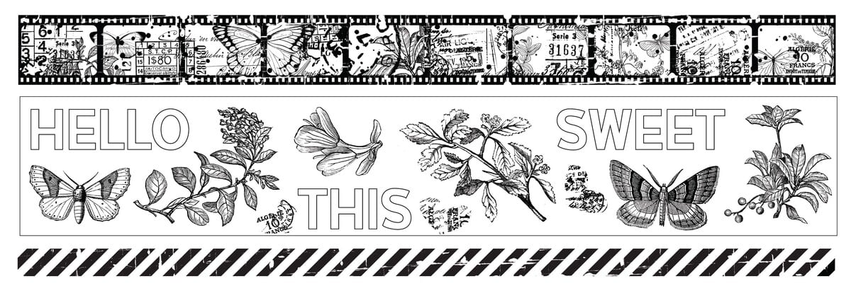 Arden Creative Studio - Field Notes PET Tape Set (5cmx5m)