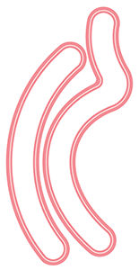 ldrs-creative-on-the-move-jump-to-it-8058.jpg