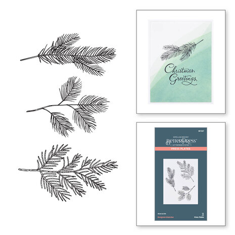 Spellbinders -BetterPress -  Evergreen Branches Press Plate