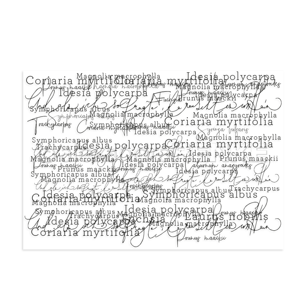ast-ar-mu0008_typohintergrund_renke
