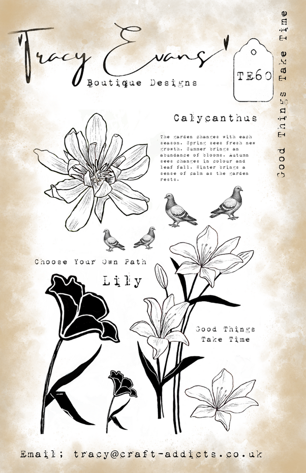 Tracy Evans - Good Things Take Time A5 Stamp