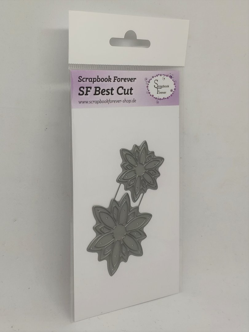 sf_best_cut_blumen