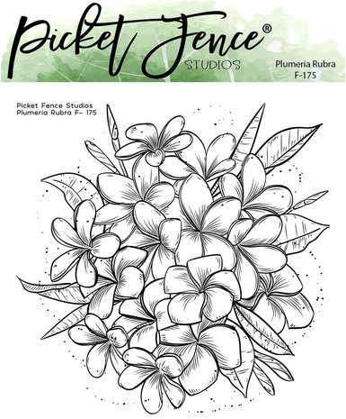 picket-fence-studios-plumeria-rubra-6x6-inch-clear