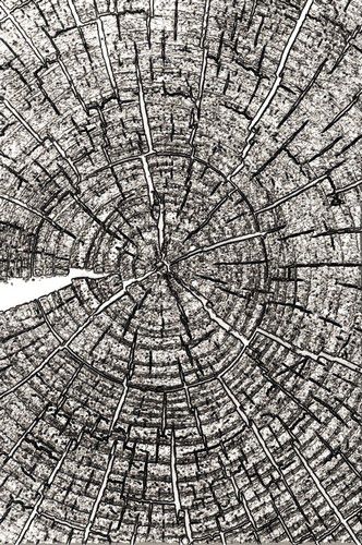 sizzix-3-d-texture-fades-embossing-folder-tree-rings-666049-tim-326994-de-g