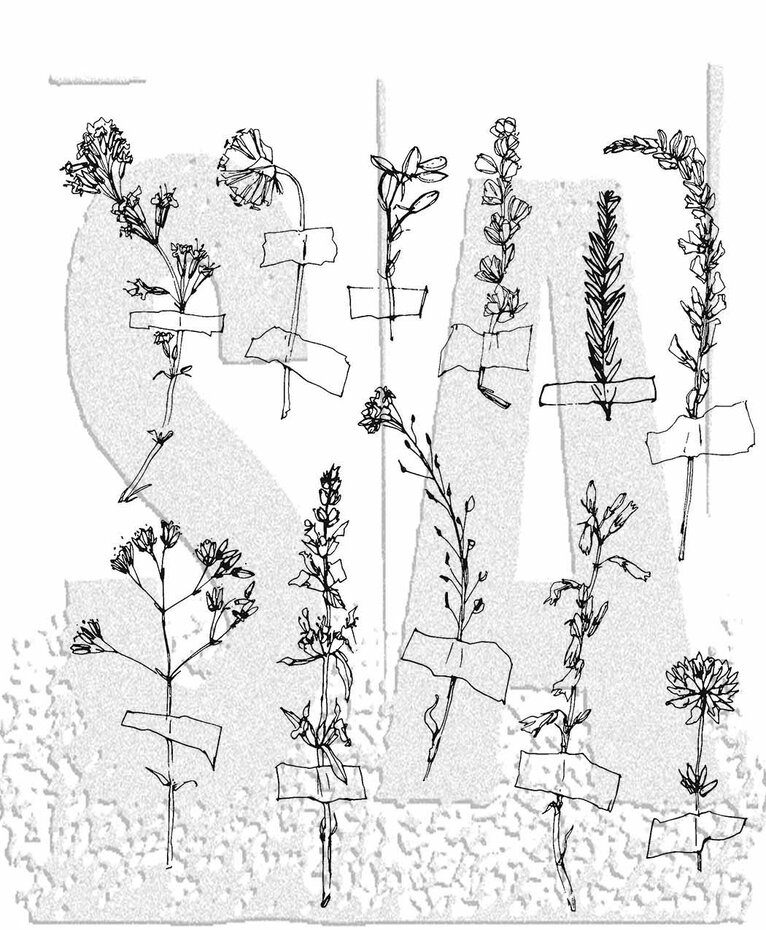 Tim Holtz - Forgotten Garden Tim Holtz Cling Stamps