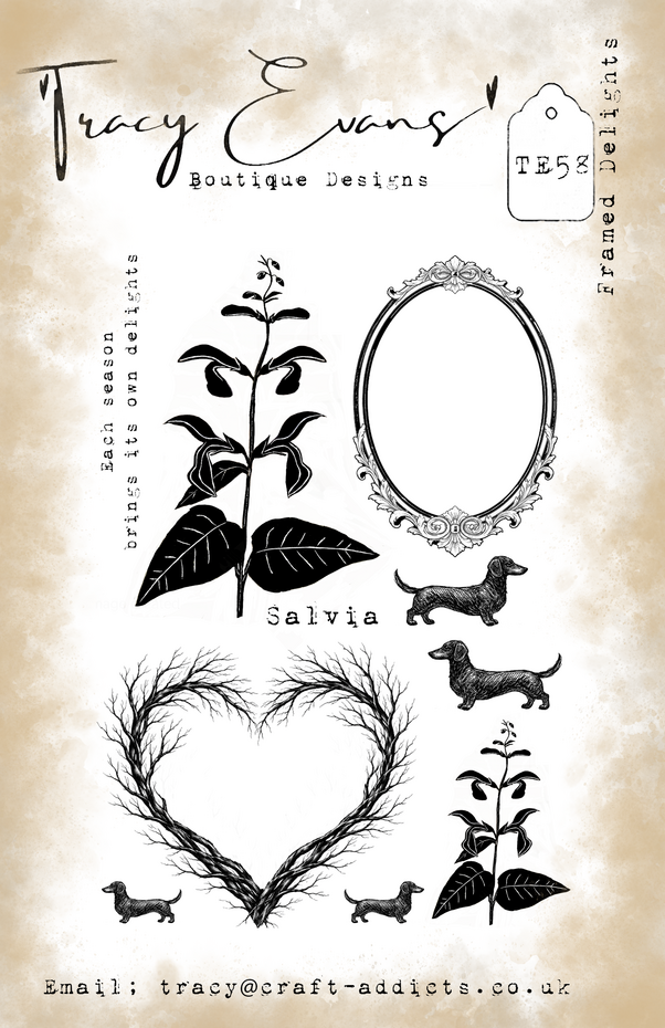 Tracy Evans - Framed Delights A5 Stamp