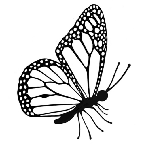 flutterby-500x499 flutterby-500x499